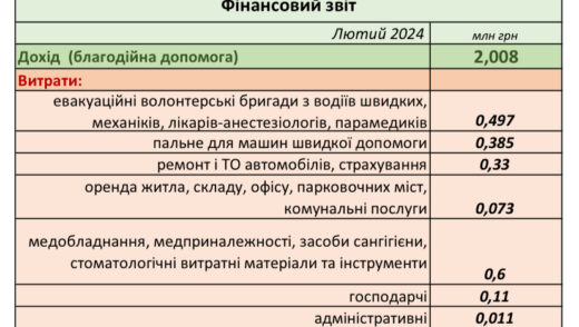 finansovij-zvit-za-lyutij-2024